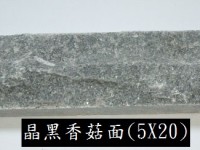 香菇面石片 Deco 04 (Black NA) 5 x 20 x 1.5~2cm