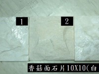 香菇面石片 10x10cm 白色系